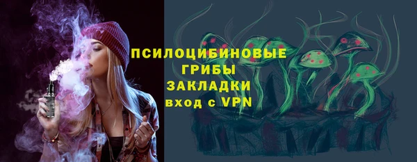 дурь Козельск