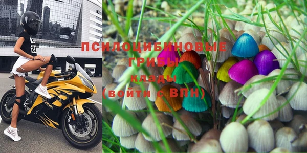 спайс Кодинск