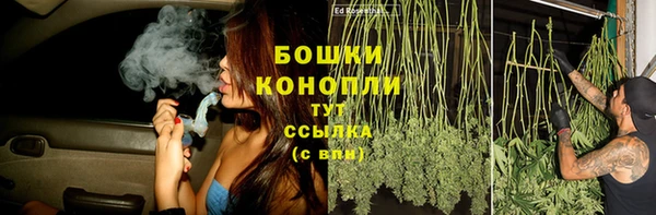 дурь Козельск