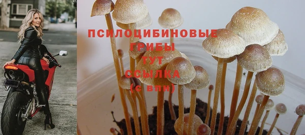 спайс Кодинск