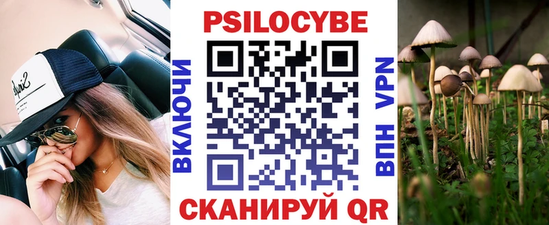 Купить где  Краснокаменск  Галлюциногенные грибы Magic Shrooms 